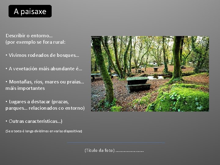 A paisaxe Describir o entorno… (por exemplo se fora rural: • Vivimos rodeados de