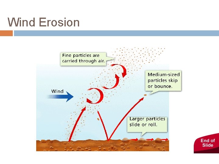 - Wind Erosion 