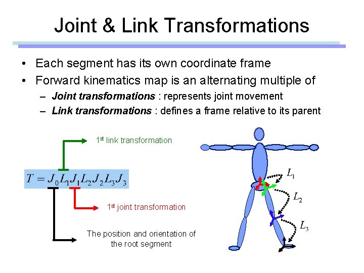 Joint & Link Transformations • Each segment has its own coordinate frame • Forward