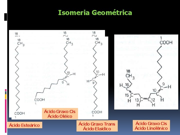 Isomeria Geométrica Ácido Graxo Cis Ácido Oléico Ácido Esteárico Ácido Graxo Trans Ácido Elaídico