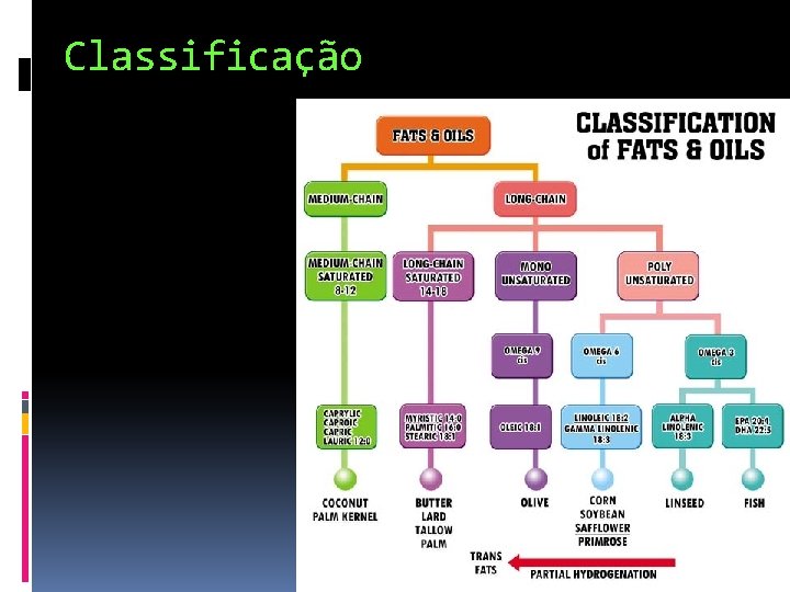 Classificação 