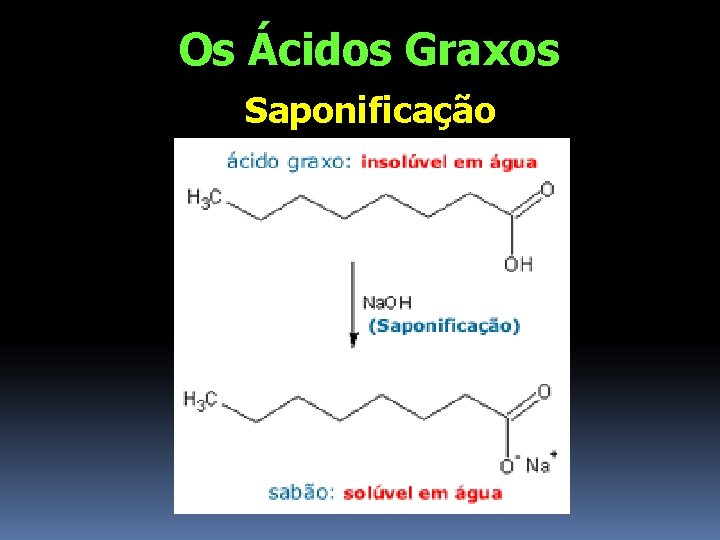 Os Ácidos Graxos Saponificação 