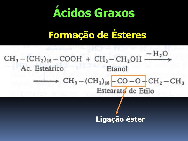 Ácidos Graxos Formação de Ésteres Ligação éster 
