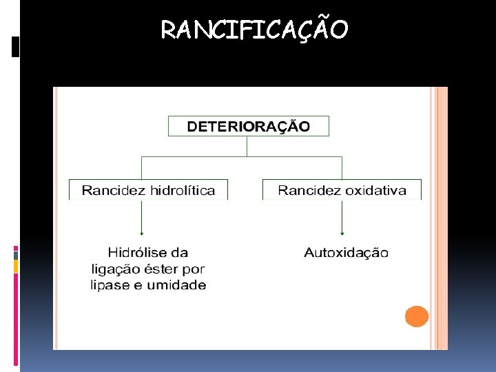 RANCIFICAÇÃO 
