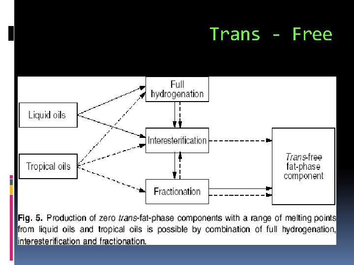 Trans - Free 