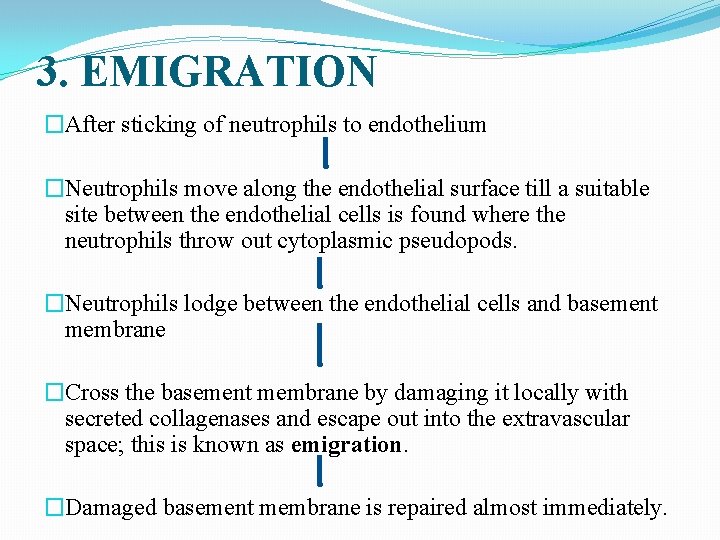 3. EMIGRATION �After sticking of neutrophils to endothelium �Neutrophils move along the endothelial surface