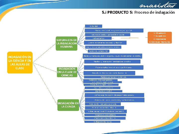 5. i PRODUCTO 5: Proceso de indagación 