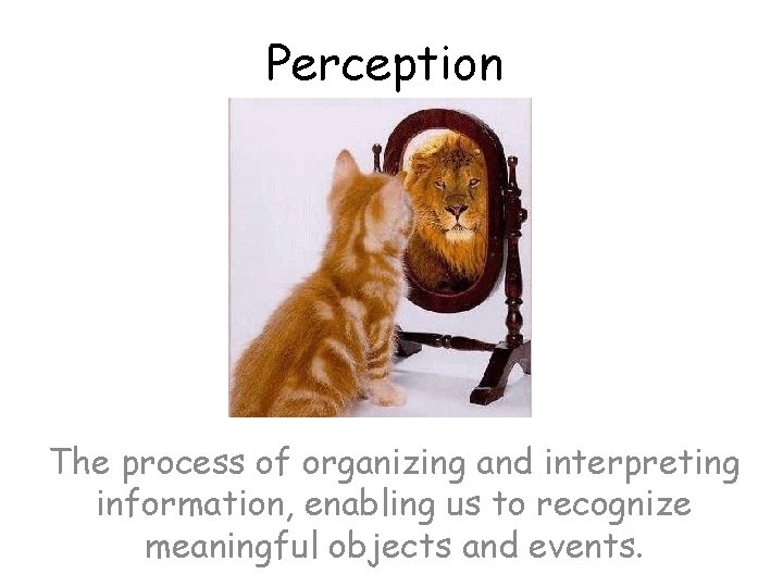 Perception The process of organizing and interpreting information, enabling us to recognize meaningful objects Perception The process of organizing and interpreting information, enabling us to recognize meaningful objects