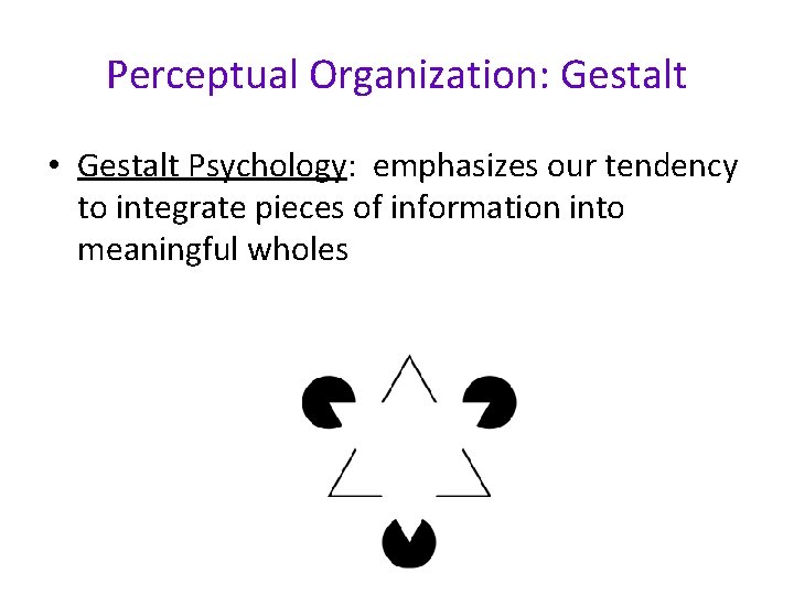 Perceptual Organization: Gestalt • Gestalt Psychology: emphasizes our tendency to integrate pieces of information