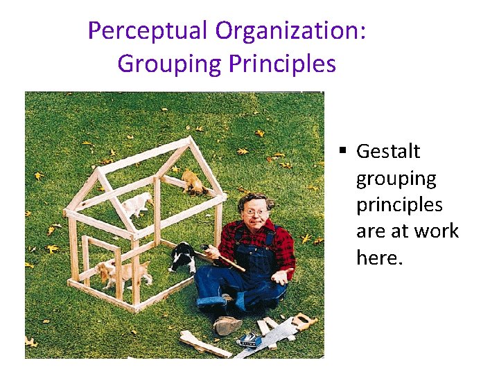 Perceptual Organization: Grouping Principles § Gestalt grouping principles are at work here. 