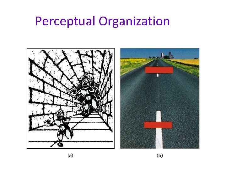 Perceptual Organization 