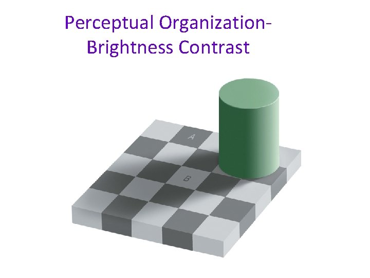 Perceptual Organization. Brightness Contrast Perceptual Organization. Brightness Contrast