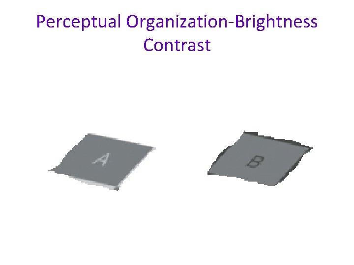 Perceptual Organization-Brightness Contrast 