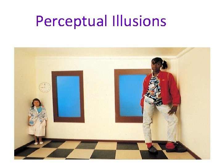Perceptual Illusions Perceptual Illusions