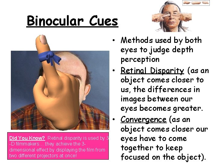 Binocular Cues Did You Know? Retinal disparity is used by 3 -D filmmakers… they Binocular Cues Did You Know? Retinal disparity is used by 3 -D filmmakers… they