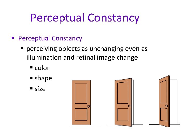 Perceptual Constancy § perceiving objects as unchanging even as illumination and retinal image change