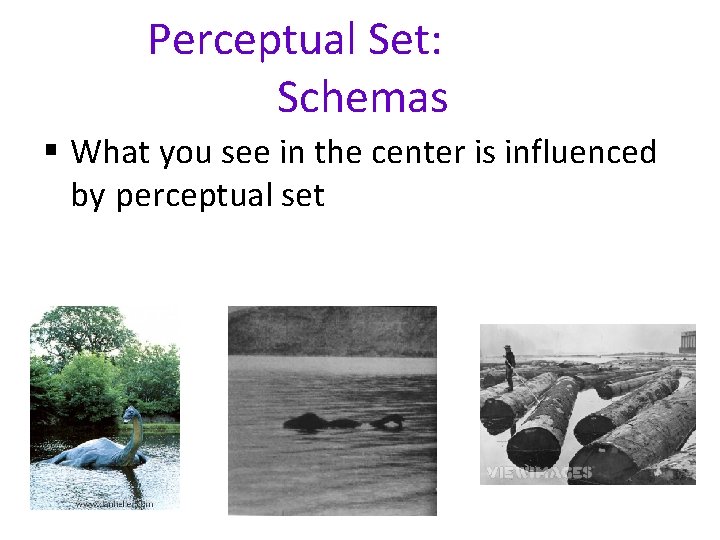 Perceptual Set: Schemas § What you see in the center is influenced by perceptual