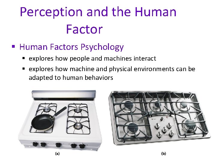 Perception and the Human Factor § Human Factors Psychology § explores how people and