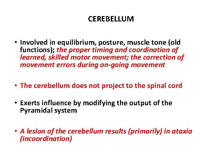 CEREBELLUM • Involved in equilibrium, posture, muscle tone (old functions); the proper timing and CEREBELLUM • Involved in equilibrium, posture, muscle tone (old functions); the proper timing and