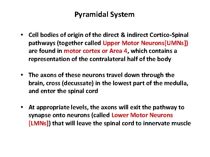Pyramidal System • Cell bodies of origin of the direct & indirect Cortico-Spinal pathways Pyramidal System • Cell bodies of origin of the direct & indirect Cortico-Spinal pathways