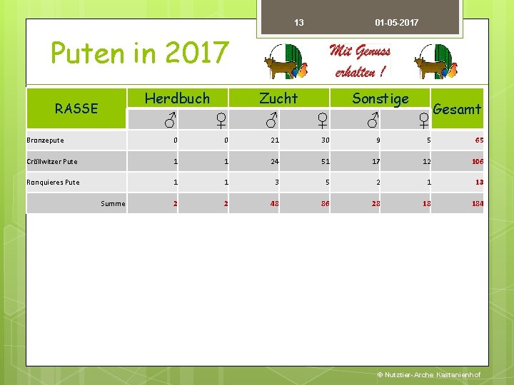 13 01 -05 -2017 Puten in 2017 Herdbuch RASSE Zucht Sonstige Gesamt ♂ ♀