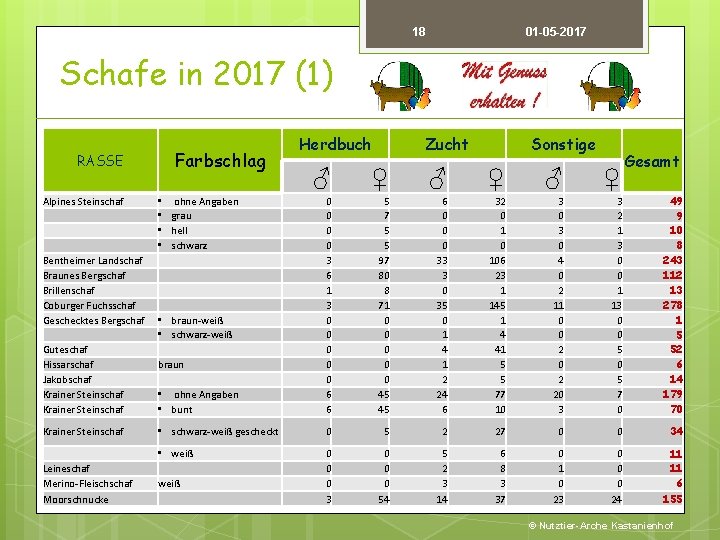 18 01 -05 -2017 Schafe in 2017 (1) RASSE Farbschlag Herdbuch Zucht Sonstige Gesamt