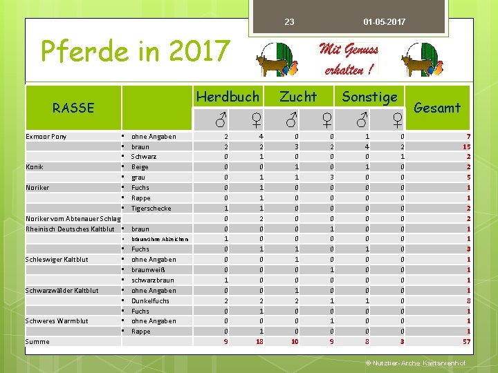 23 01 -05 -2017 Pferde in 2017 Herdbuch RASSE Exmoor Pony • • •