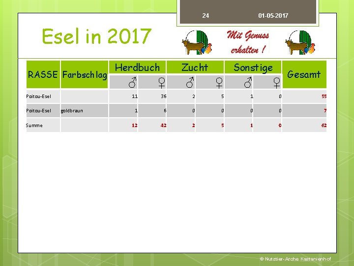 24 01 -05 -2017 Esel in 2017 Herdbuch RASSE Farbschlag Poitou-Esel goldbraun Summe Zucht