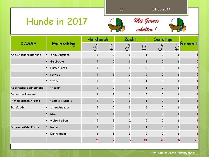 30 01 -05 -2017 Hunde in 2017 RASSE Herdbuch Farbschlag Altdeutscher Hütehund ♂ ♀