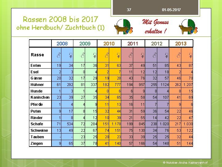 37 01 -05 -2017 Rassen 2008 bis 2017 ohne Herdbuch/ Zuchtbuch (1) 2008 2009