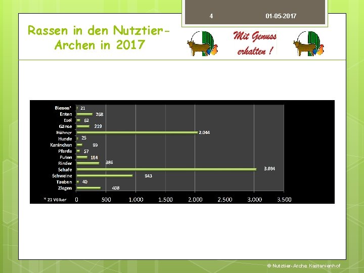 4 01 -05 -2017 Rassen in den Nutztier. Archen in 2017 © Nutztier-Arche Kastanienhof