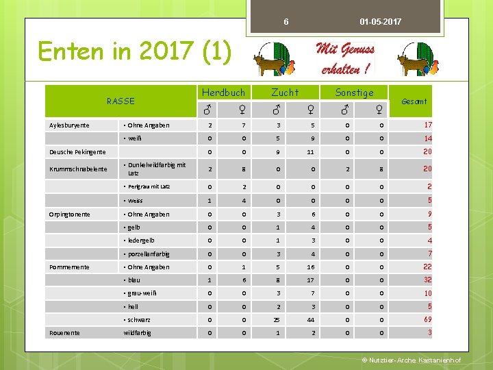 6 01 -05 -2017 Enten in 2017 (1) Herdbuch Zucht ♂ ♀ ♂ ♀