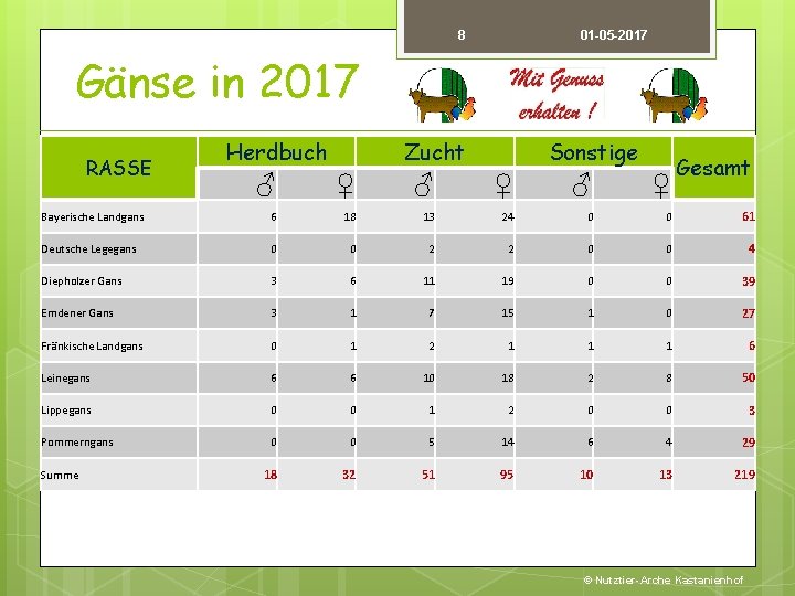 8 01 -05 -2017 Gänse in 2017 RASSE Herdbuch Zucht Sonstige Gesamt ♂ ♀
