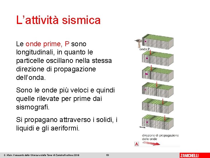 L’attività sismica Le onde prime, P sono longitudinali, in quanto le particelle oscillano nella