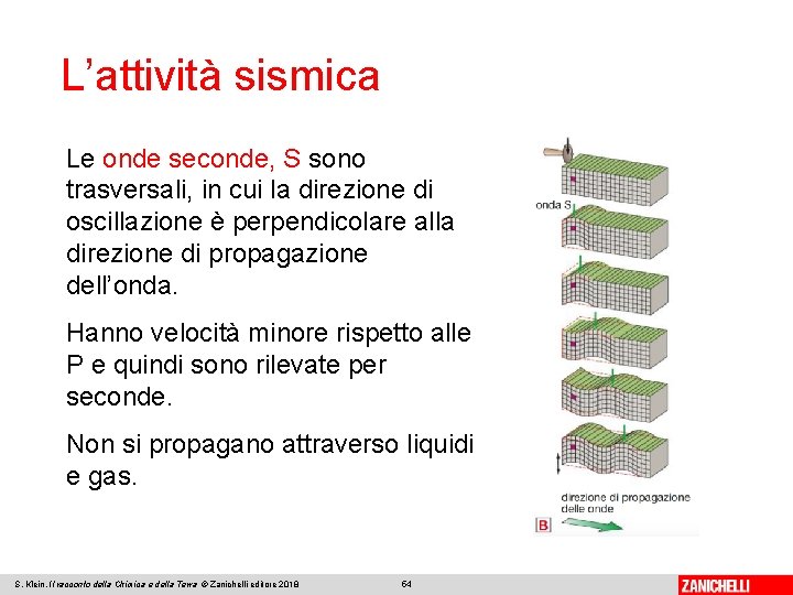 L’attività sismica Le onde seconde, S sono trasversali, in cui la direzione di oscillazione