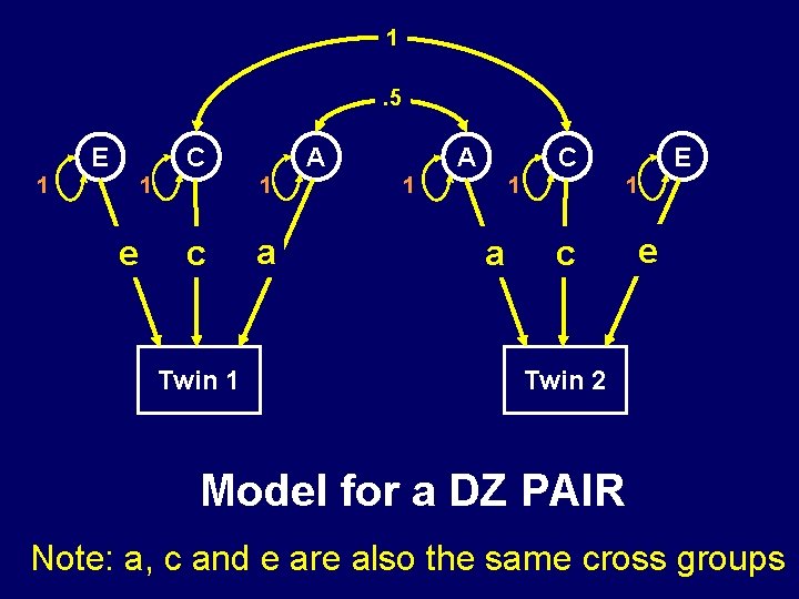 1. 5 C E 1 1 1 e A c Twin 1 a C