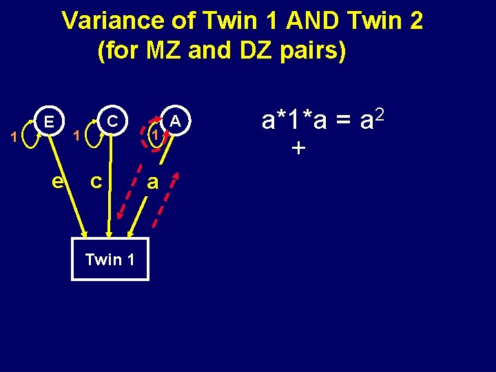 Variance of Twin 1 AND Twin 2 (for MZ and DZ pairs) 1 E