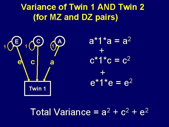 Variance of Twin 1 AND Twin 2 (for MZ and DZ pairs) 1 E