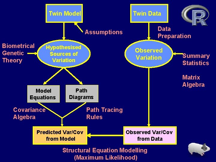 Twin Model Twin Data Preparation Assumptions Biometrical Genetic Theory Hypothesised Sources of Variation Model