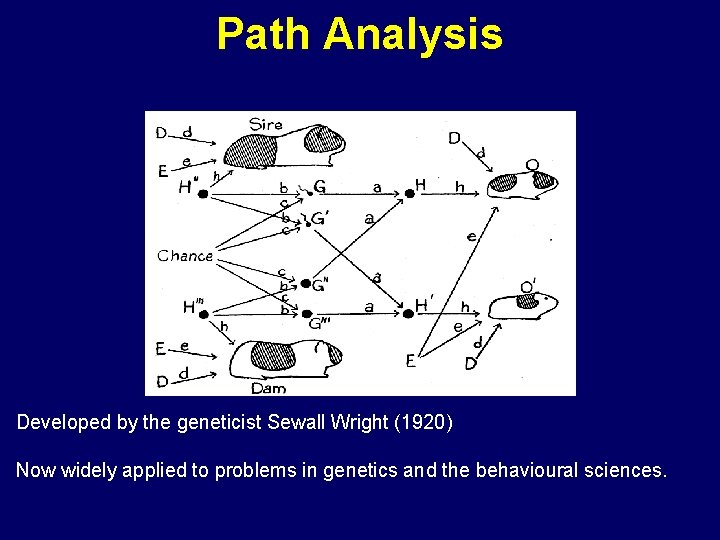 Path Analysis Developed by the geneticist Sewall Wright (1920) Now widely applied to problems