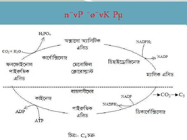 Welcome Rxewevb 1 G C Beg vq T