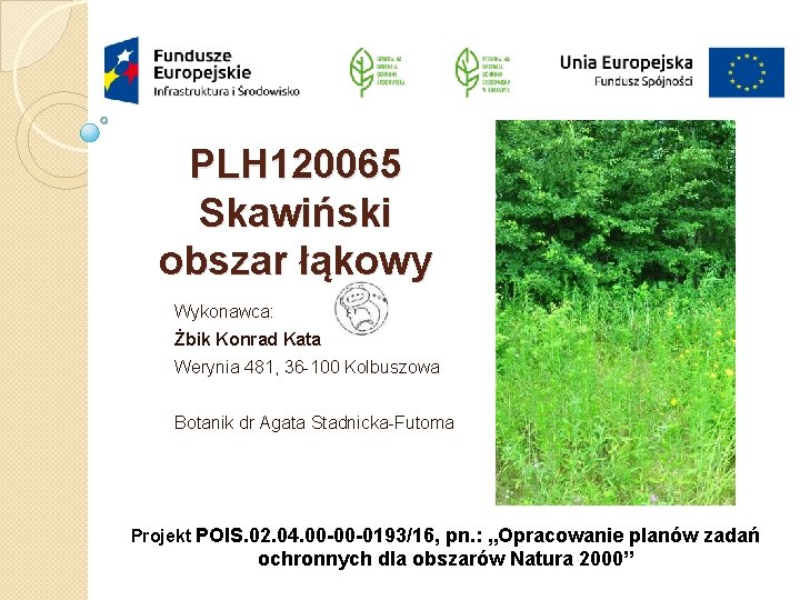 PLH 120065 Skawiński obszar łąkowy Wykonawca: Żbik Konrad Kata Werynia 481, 36 100 Kolbuszowa