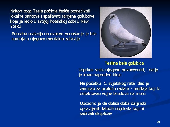 Nakon toga Tesla počinje češće posjećivati lokalne parkove i spašavati ranjene golubove koje je