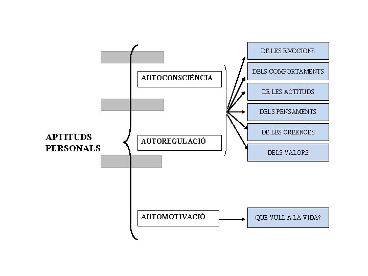 DE LES EMOCIONS AUTOCONSCIÈNCIA DELS COMPORTAMENTS DE LES ACTITUDS DELS PENSAMENTS APTITUDS PERSONALS DE