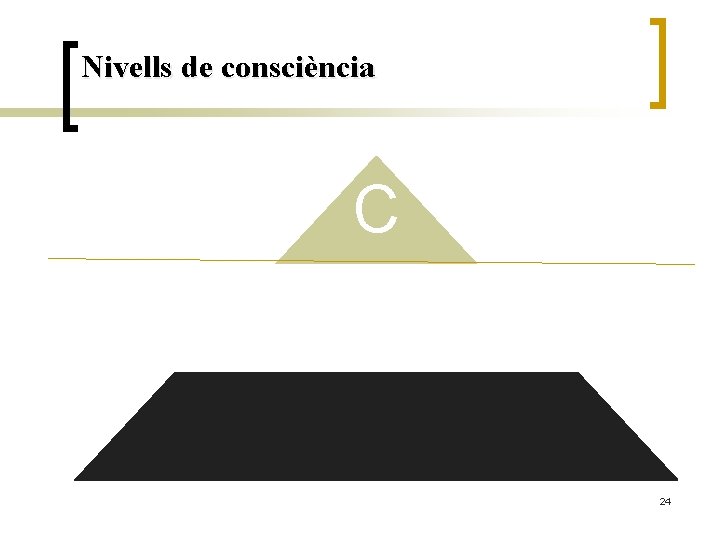 Nivells de consciència C 24 