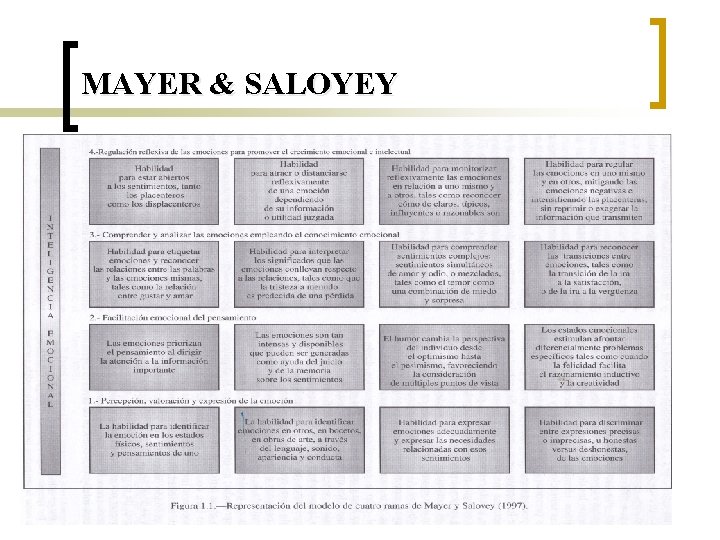 MAYER & SALOYEY 