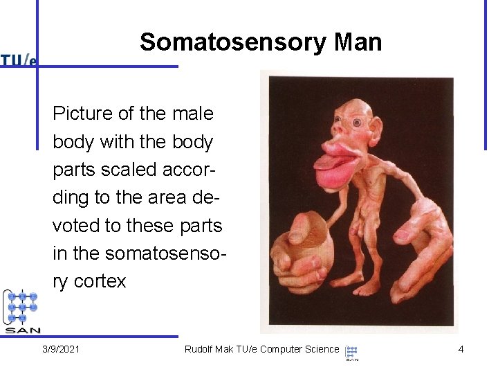 Somatosensory Man Picture of the male body with the body parts scaled according to