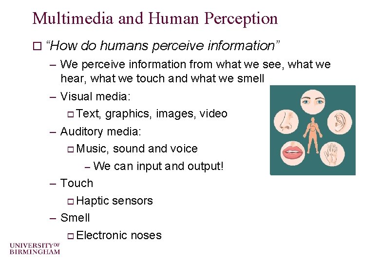 Multimedia and Human Perception o “How do humans perceive information” – We perceive information