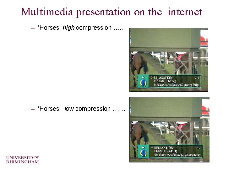Multimedia presentation on the internet – ‘Horses’ high compression …… – ‘Horses’ low compression