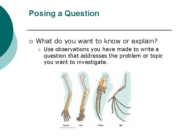Posing a Question ¡ What do you want to know or explain? l Use